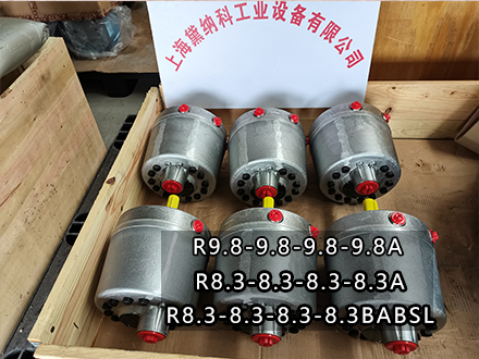 R8.3-8.3-8.3-8.3-BABSL大量水泥厂钢厂柱塞泵