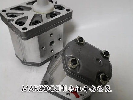 马祖奇ALM2BK4-R-6齿轮泵MARZOCCHI油泵